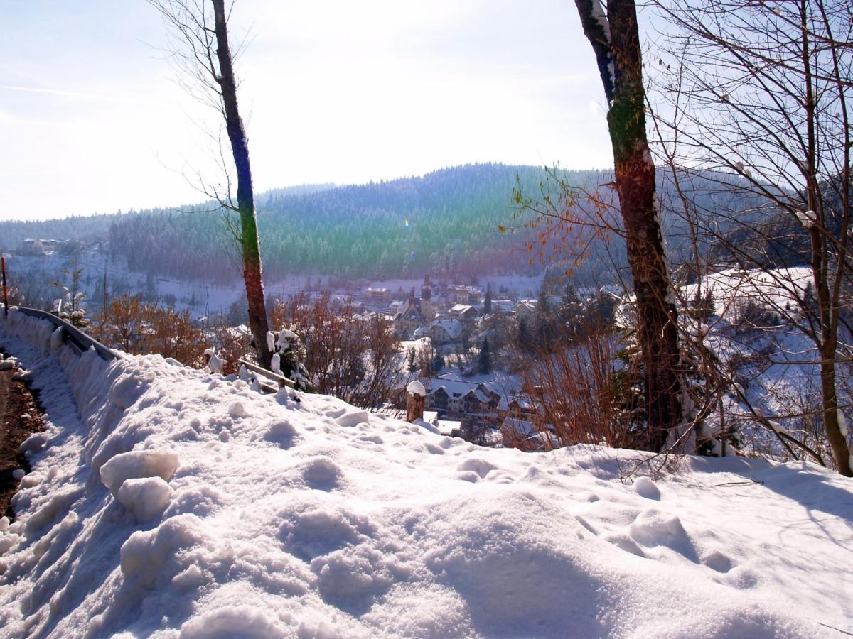Birke 9, 10 Oder 11 Todtmoos Exterior foto