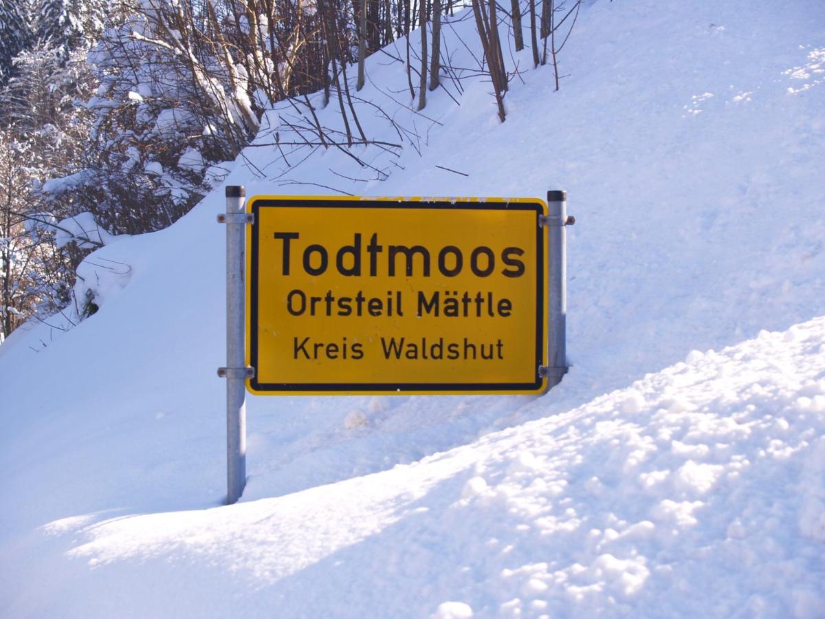 Birke 9, 10 Oder 11 Todtmoos Exterior foto