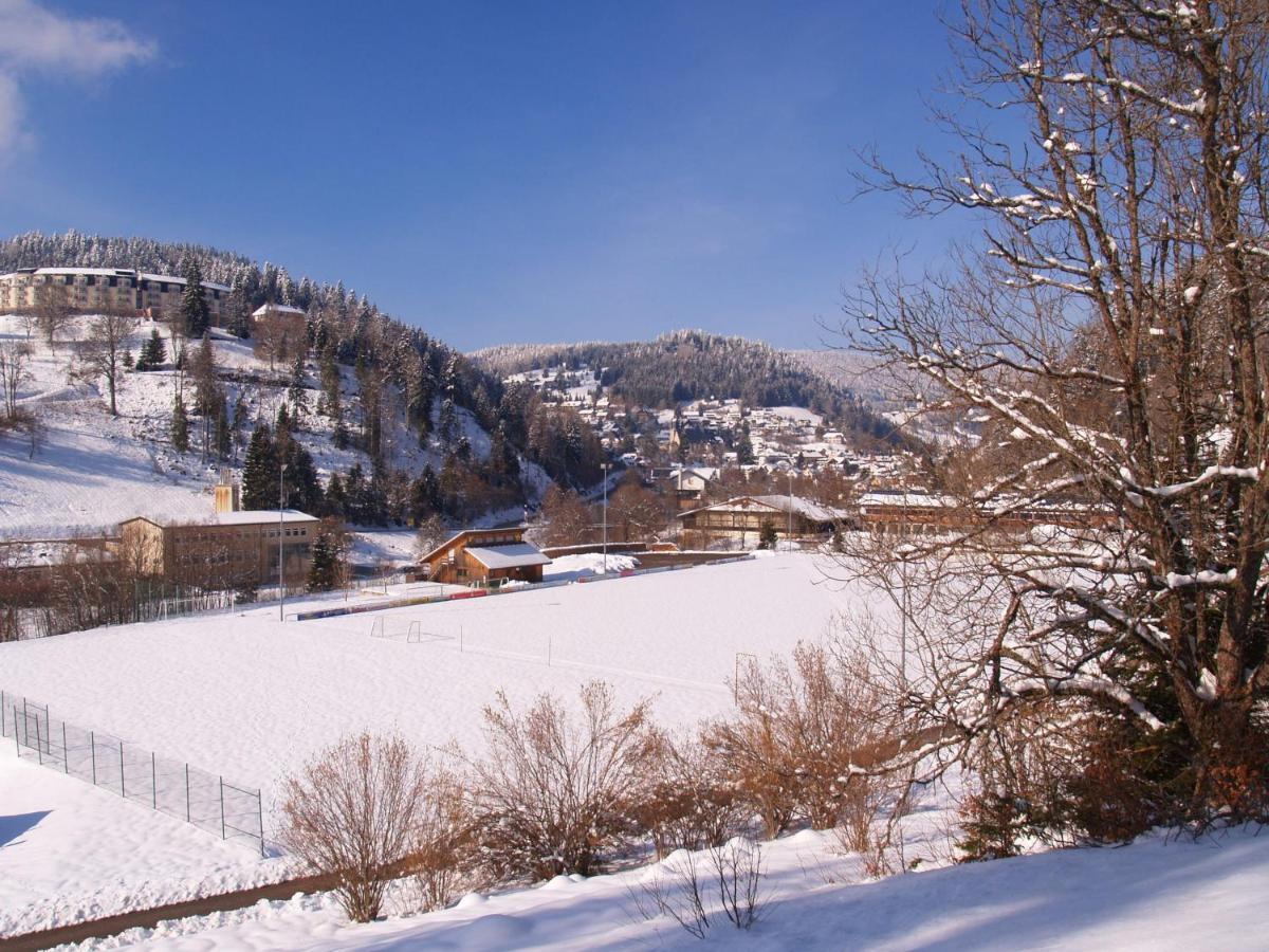 Birke 9, 10 Oder 11 Todtmoos Exterior foto